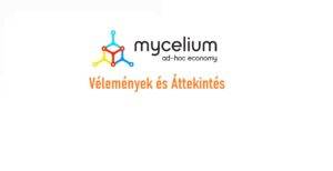Mycelium Wallet Kezdőknek | Mycelium Vélemények és Ismertető | Útmutató